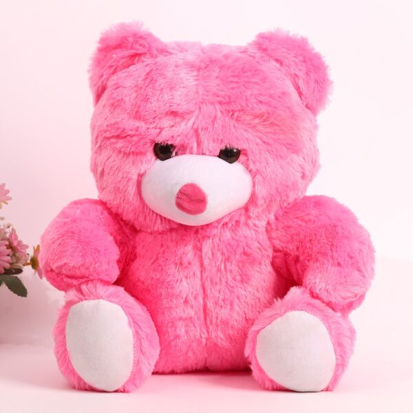 Loveable Valentine Teddy Surprise