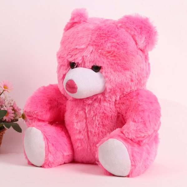 Loveable Valentine Teddy Surprise - Image 3