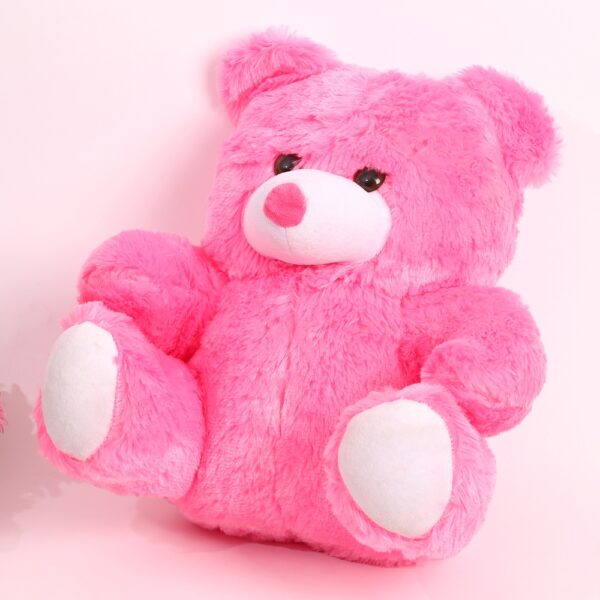 Loveable Valentine Teddy Surprise - Image 2